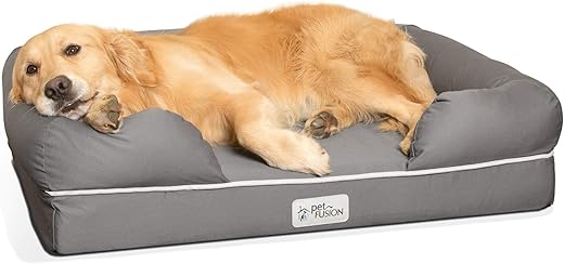 Best Calming Beds for Small Dogs in Apartments (2026)